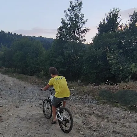 Lodge рута хелз